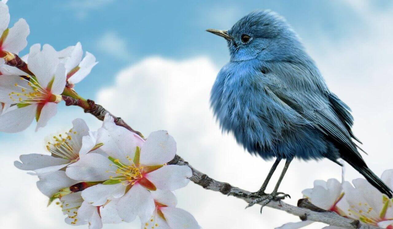 Relaxation et Sérénité Pour Un Sommeil Apaisé: Episode 1