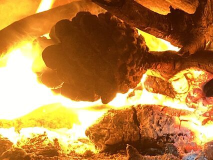 Understanding Ayurveda: Digestion With Agni And Ama