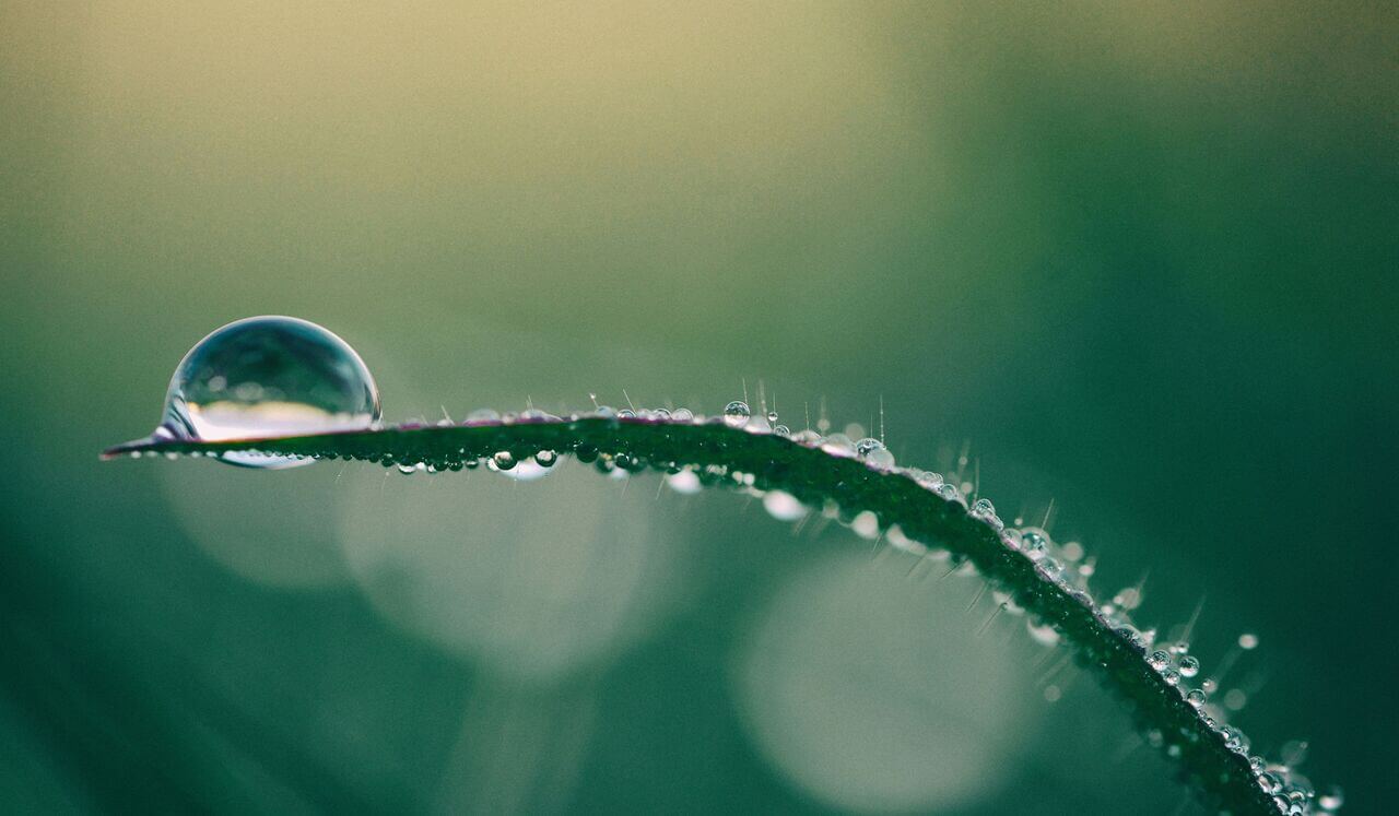 Emotions As Information