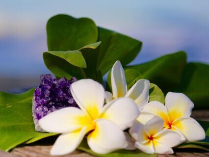 Ho'Oponopono Hawaiian Forgiveness Practice