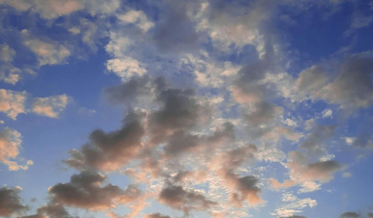 Sacred Vitality — Morning Soul Attunement