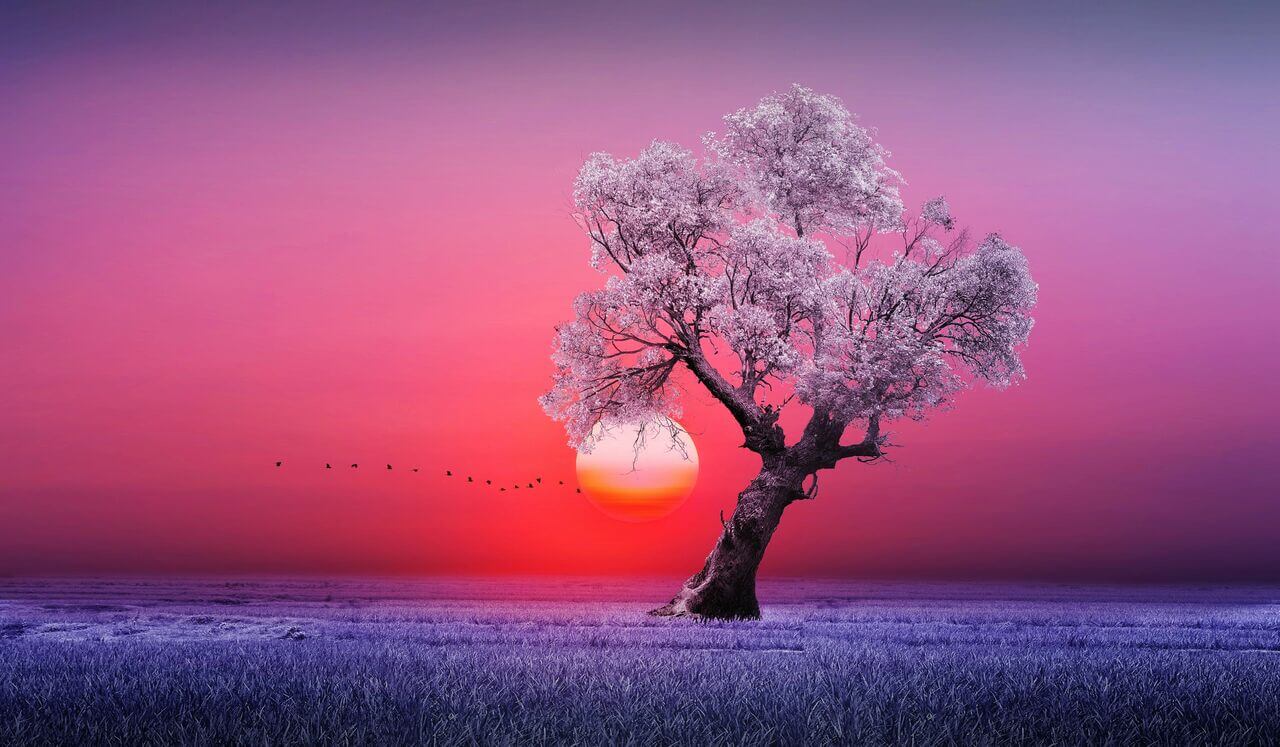 Manifest While Sleeping: Confidence & Positive Self-Image