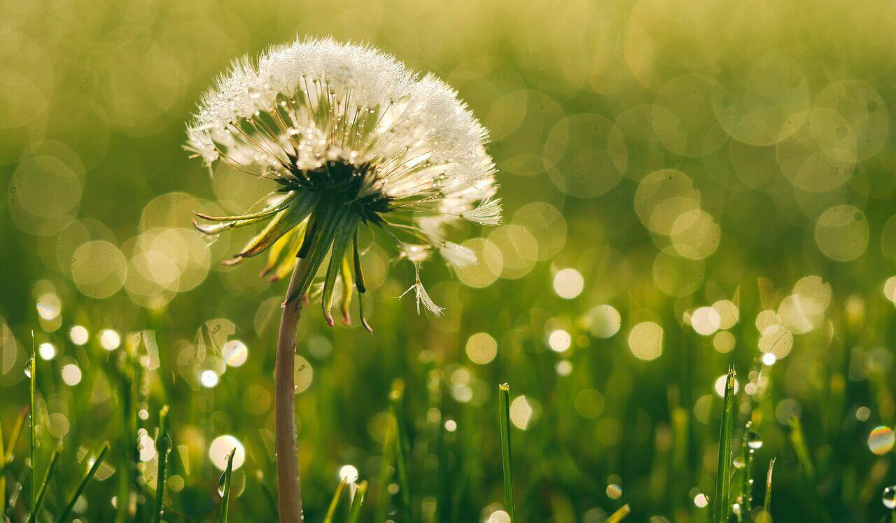 Simple And Fun Manifesting With The Staff Room Technique