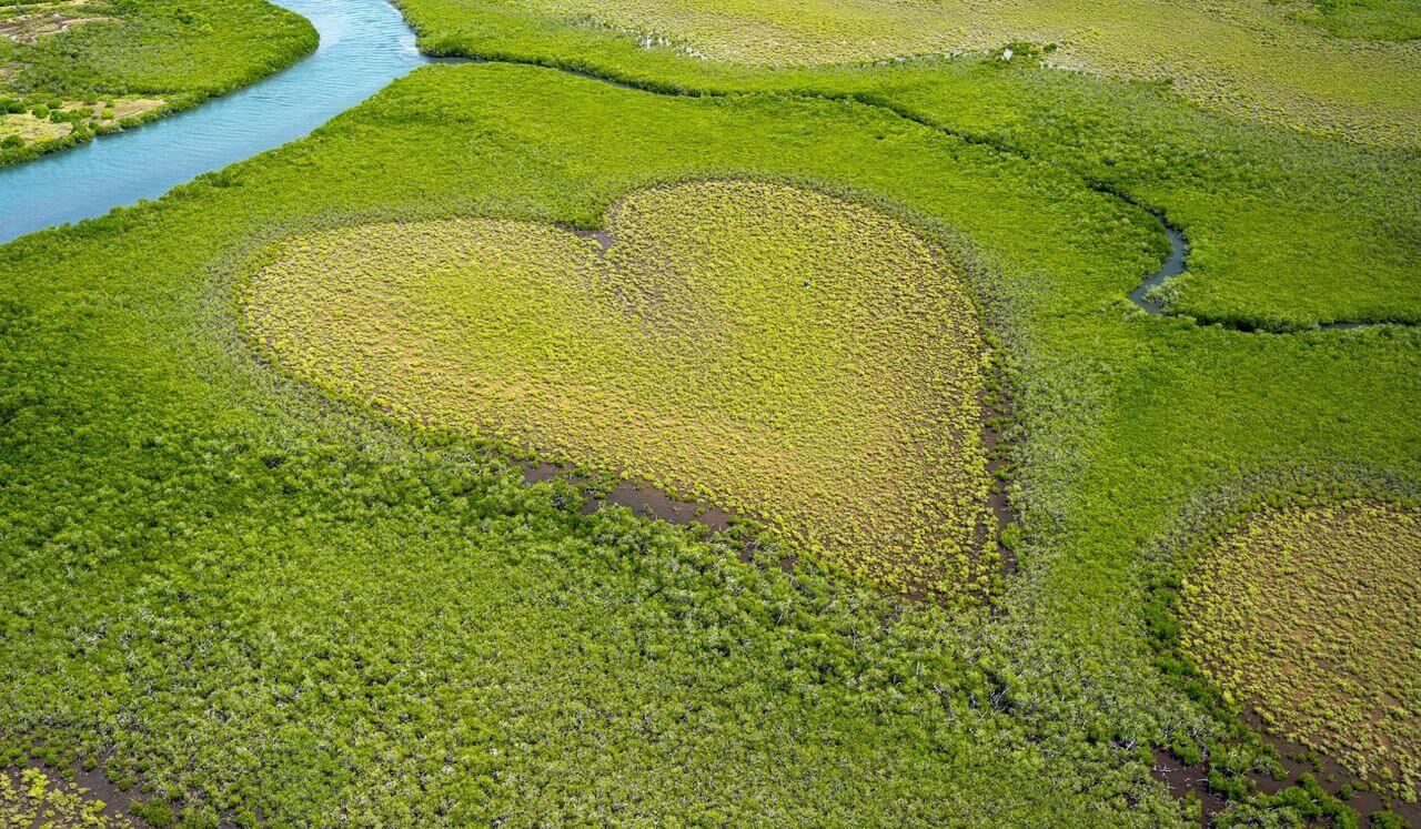 Heart Healing, Earth Healing - Breathe in Love