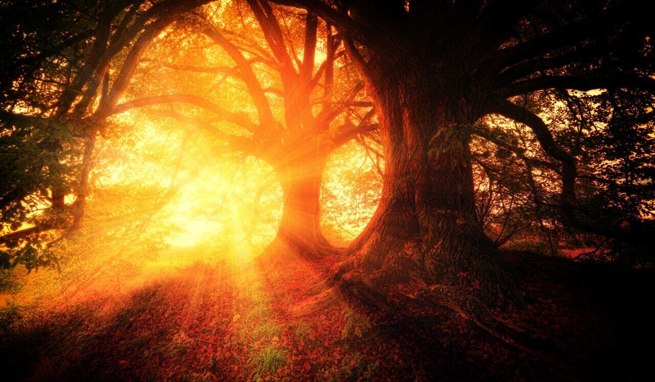 Colorful Journey Through The Chakras