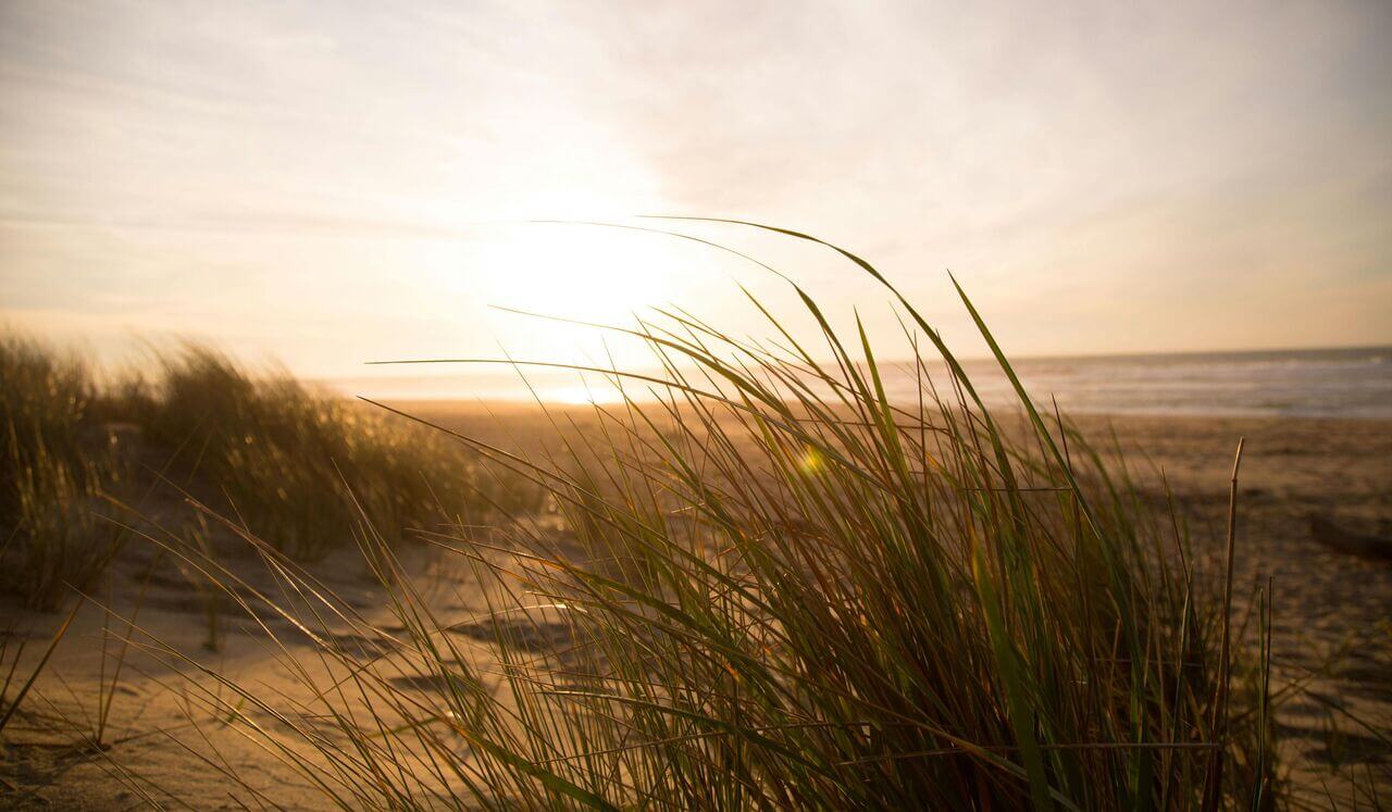 Harmonizing With Sound