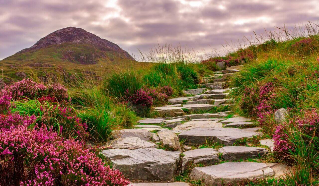 I Couldn't Have Predicted This EFT Tapping Meditation