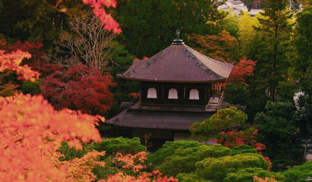 Rêves Merveilleux Au Pavillon D���Argent | Sommeil Profond