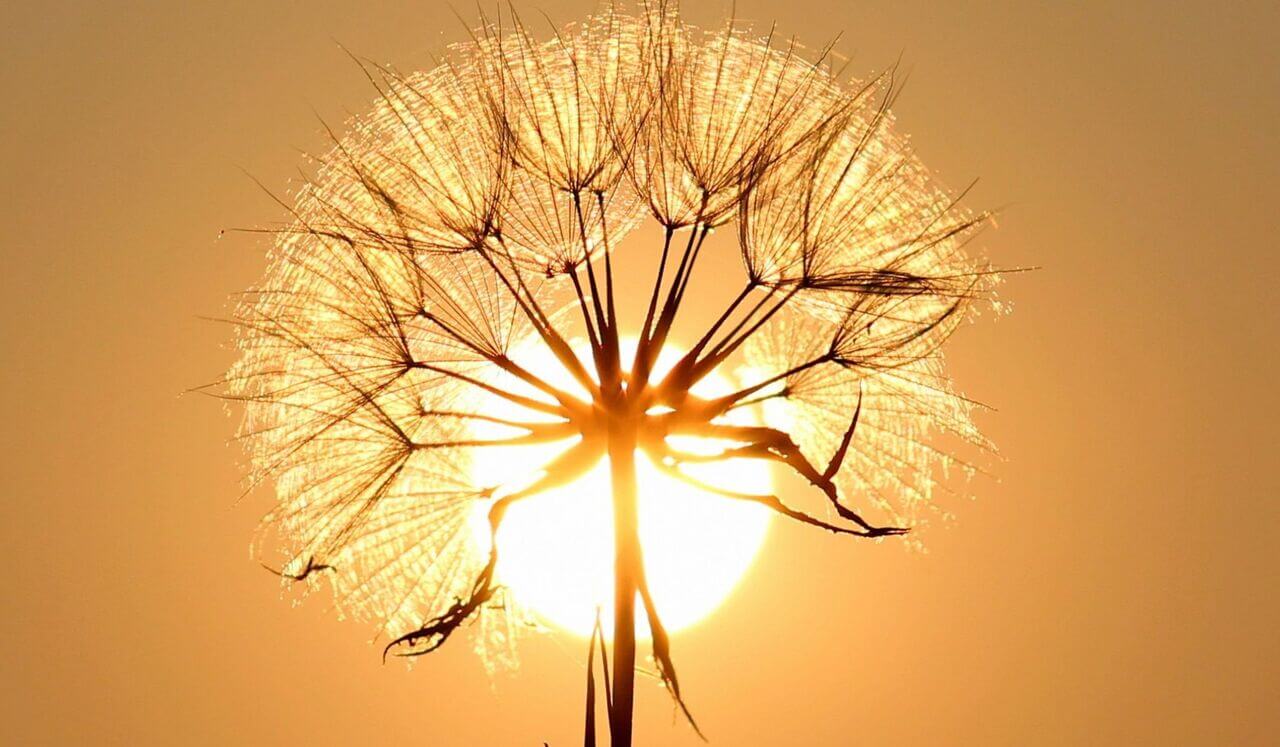 Bedtime Chakra Balancing With Reiki: Solar Plexus