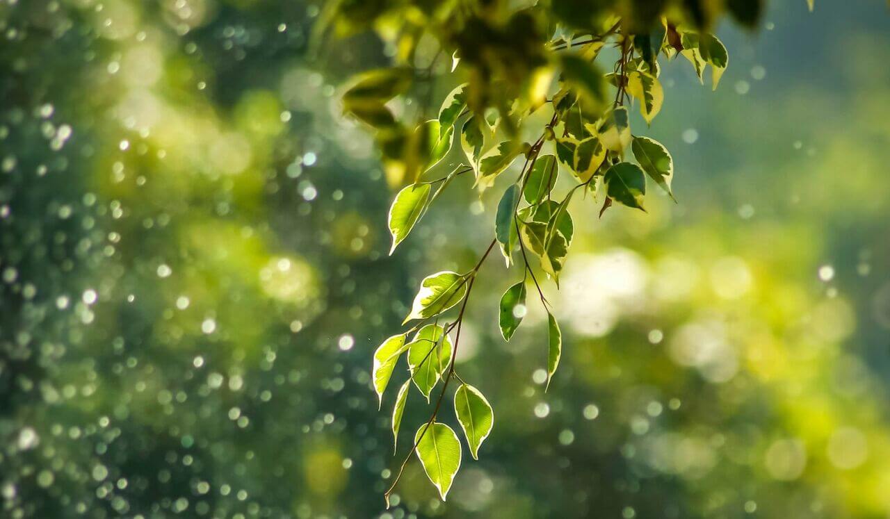 Detaching With Love: A Co-Dependency Release Practice