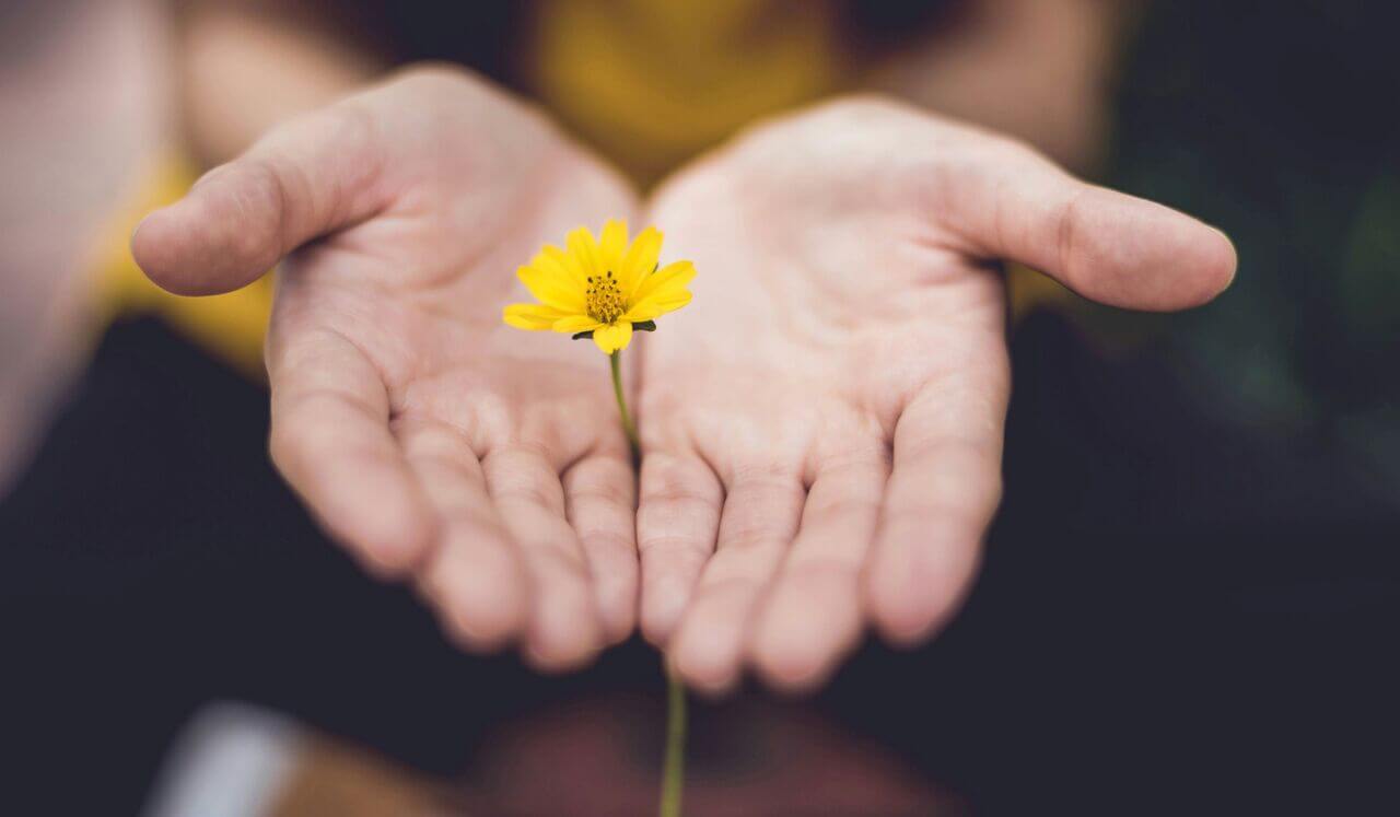 Self-Reiki Hand Positions, Pt. 1