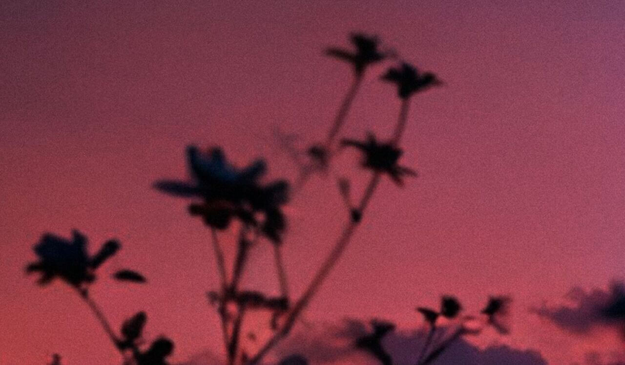 Evening Wind Down: Breathe & Let Go