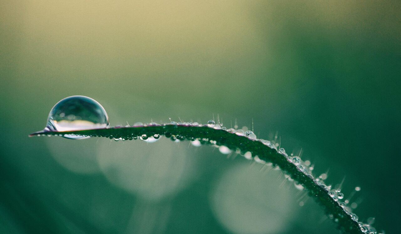 You Have All The Time You Need