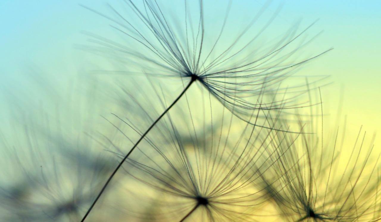 Erholung am geborgenen Ort