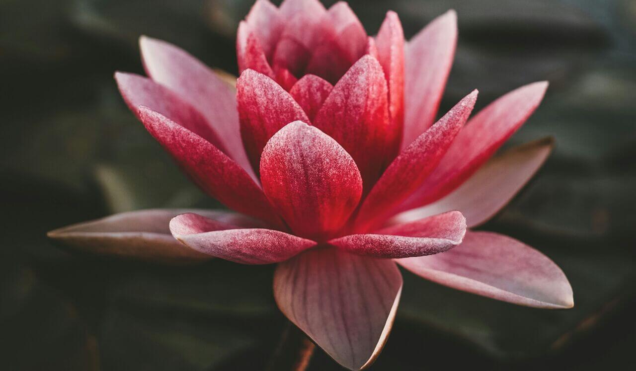 You Are Worthy: How To Believe It