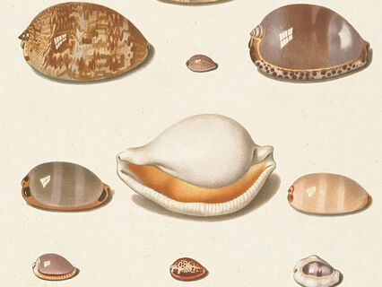 Tracing Back Your Lineage