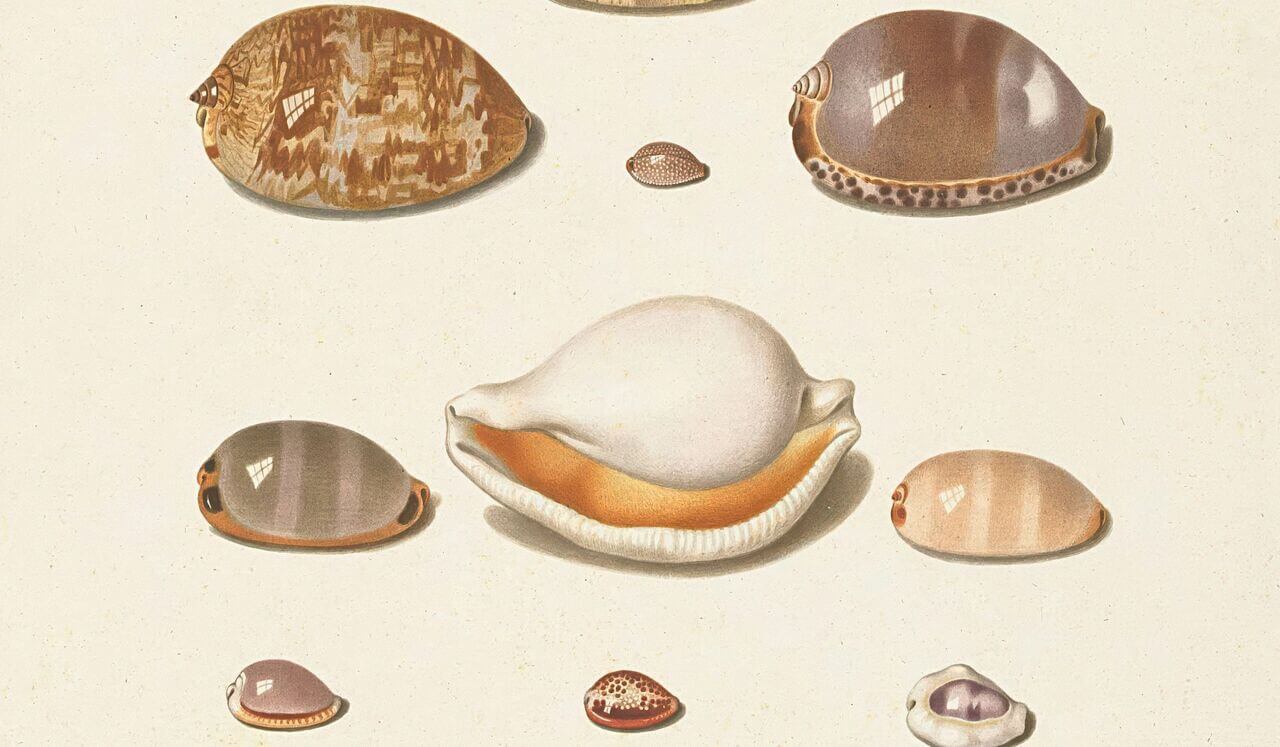 Tracing Back Your Lineage