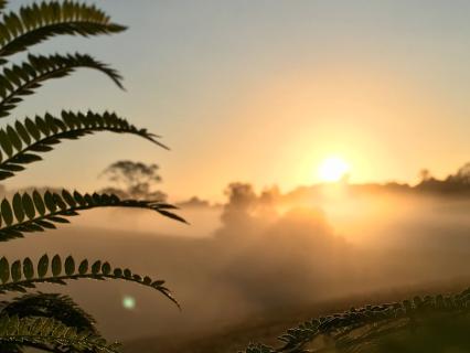Before Work: Morning Intention For Focus & Clarity