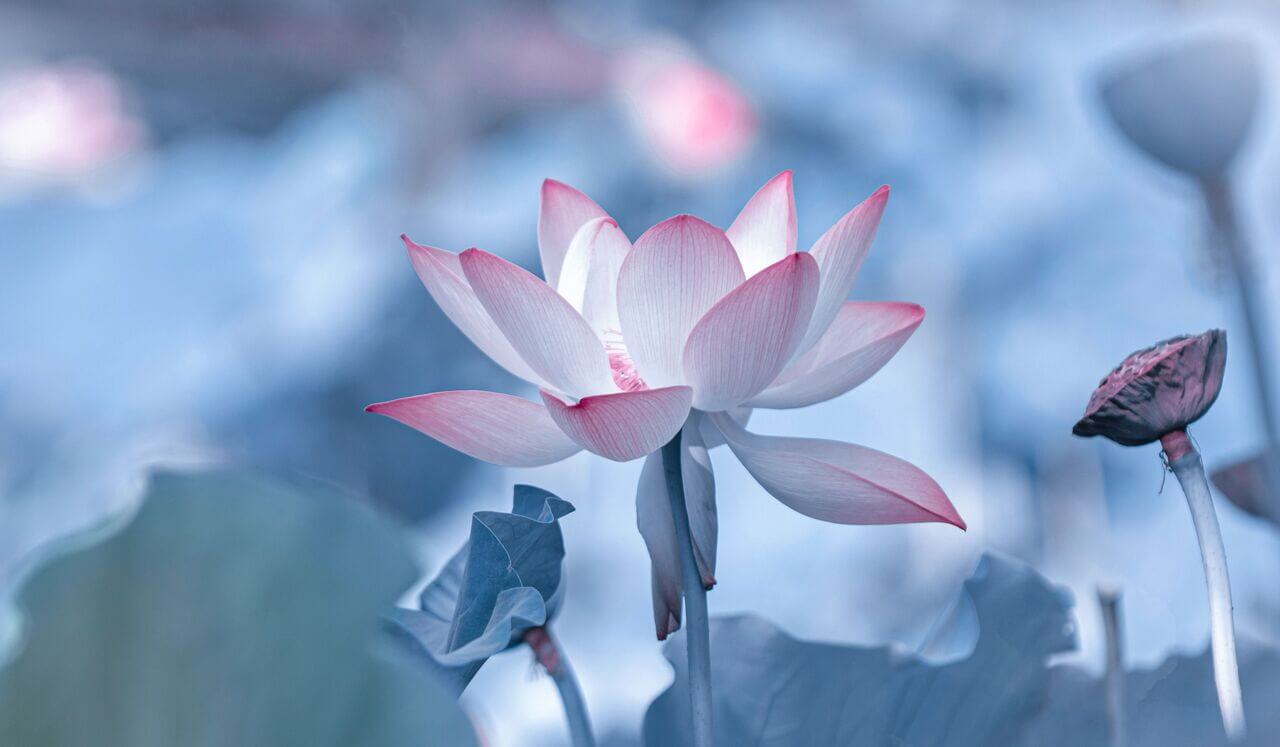 Strengthening Your Inner Guidance