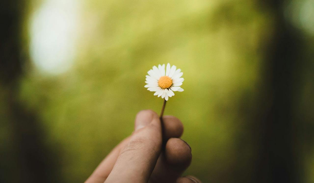 Let Them Go: Healing Wound Through Non‑Response (Vipassana)