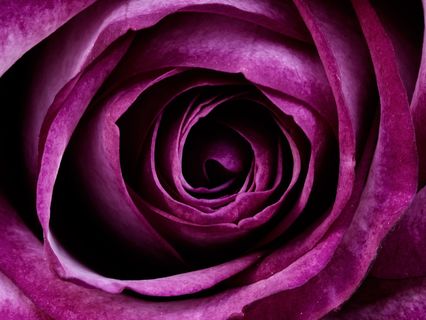 Three Simple Ways To Infuse More Kindness Into Your Life - by Alice Langholt