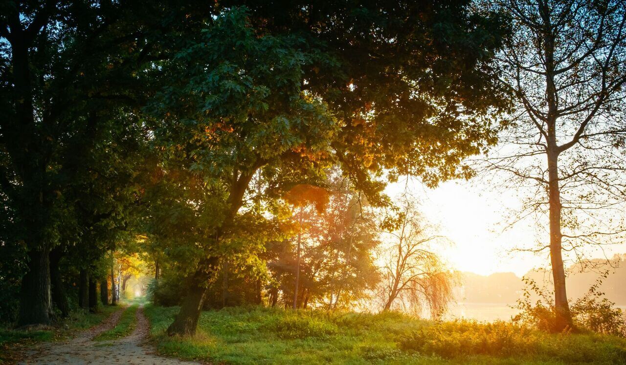 6 Fases Para Empezar el Día (Meditación)