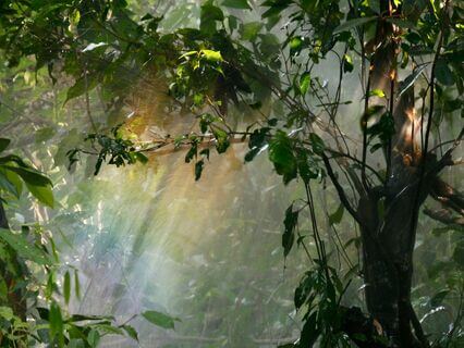 Returning To The Body After Betrayal