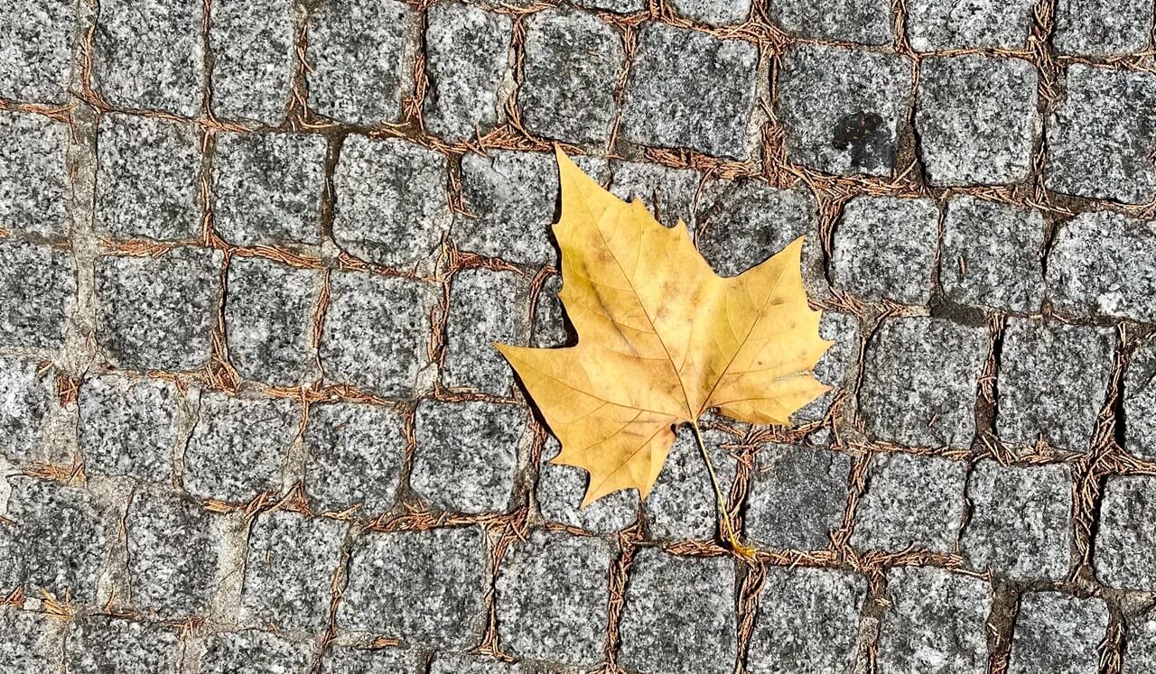 Accueillir sa vulnérabilité