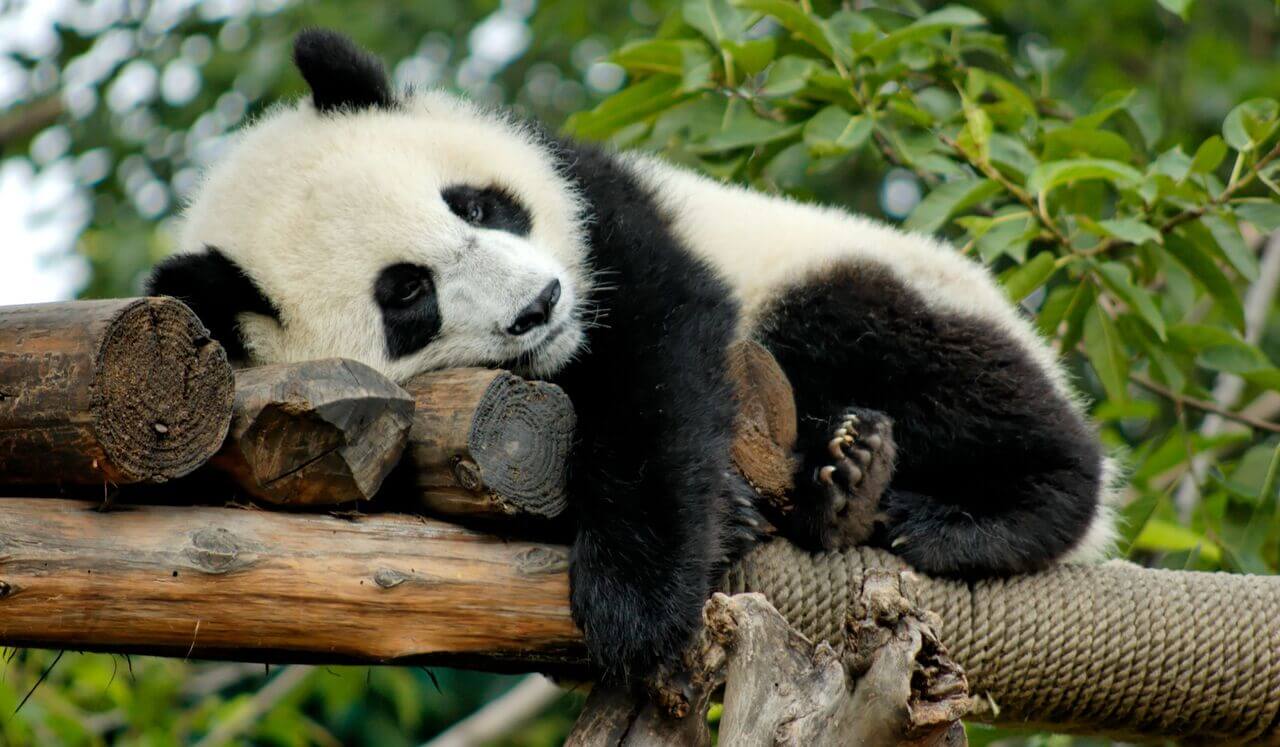 Full Body Parts 100-0 Countdown To Sleep Deep