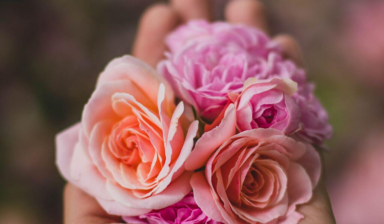 Heart-Centered: A Meditation To Release Stress And Anxiety