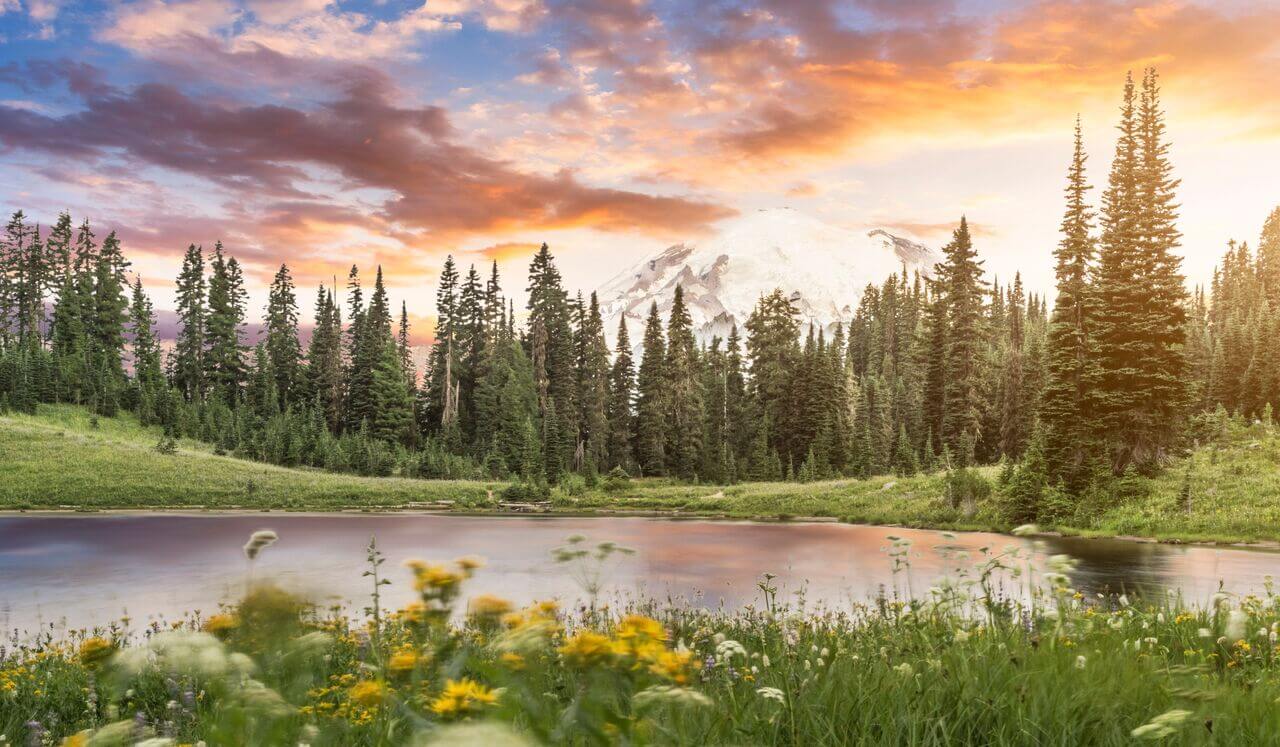 Deep Sleep: Manifestation Mastery: Manifest Abundance