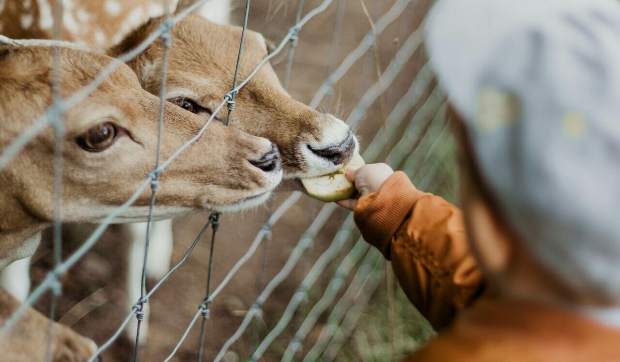 The Art Of Healthy Boundaries