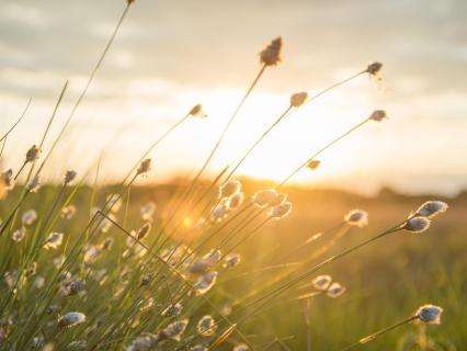 [Pocket Song] I Feel It In My Soul