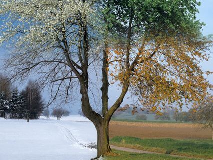 Embracing Change - by Helen Pengelly