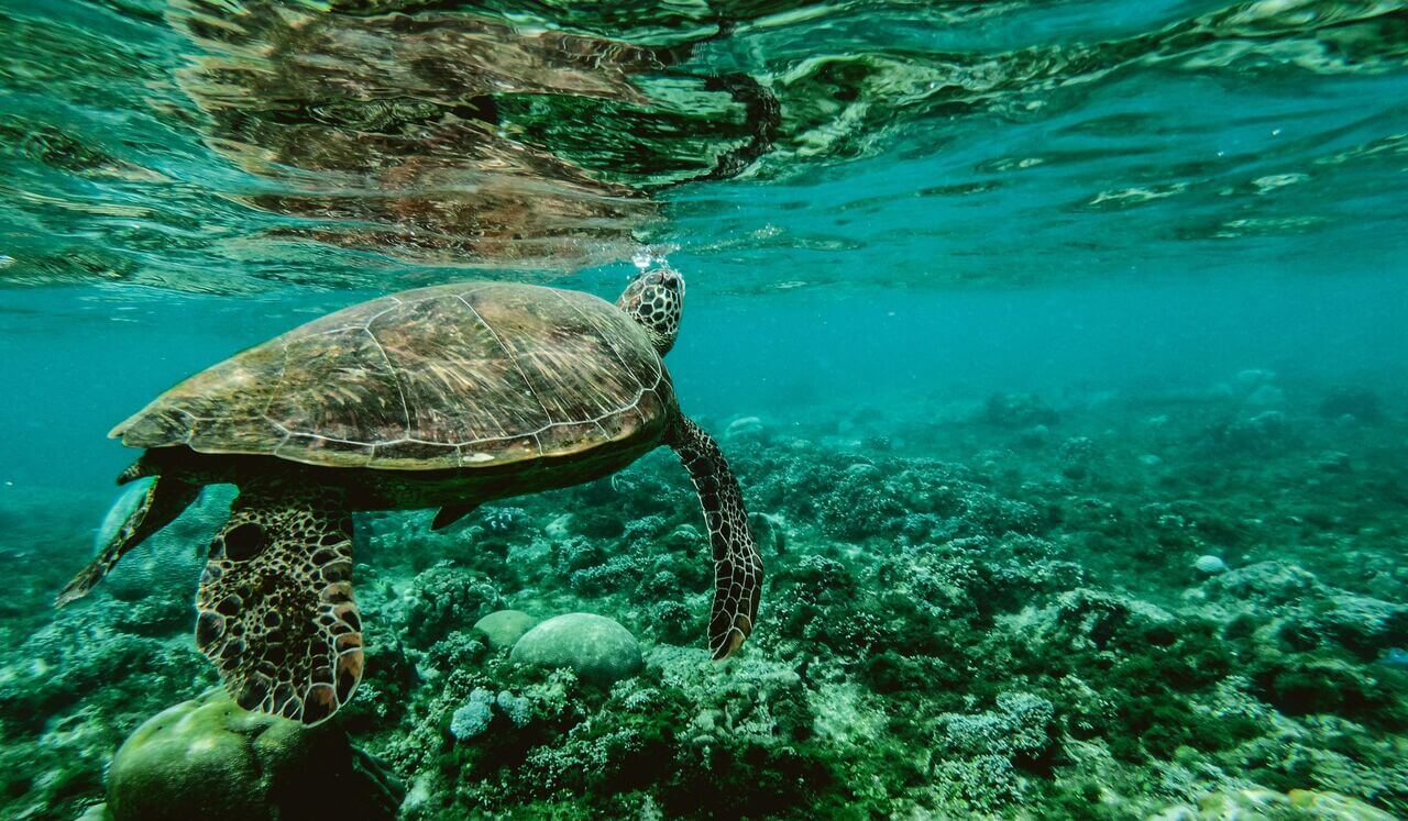 Mapping The Neurodivergent Body