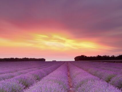 Voyage Lumineux Vers L'Abondance Intérieure