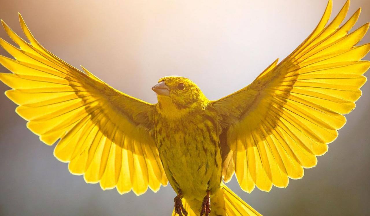 Richtig durchatmen In 1 Minute