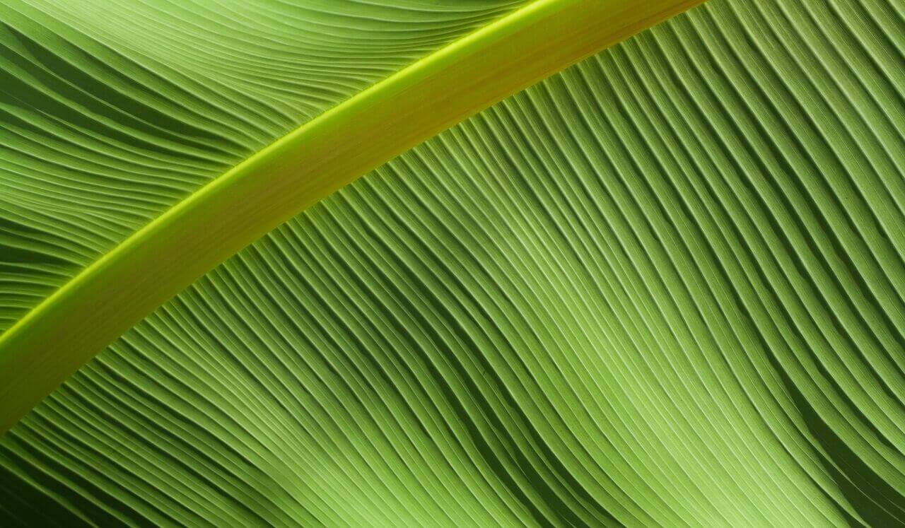 Explore your Nervous System – Mindful Tools for Awareness & Regulation