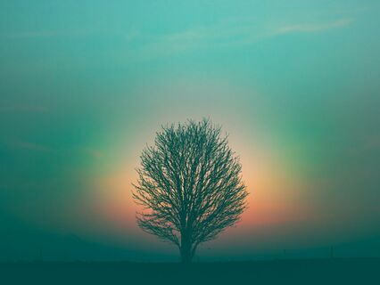 Immateriality And The Path To Non-Dualism - by Mark Gladman