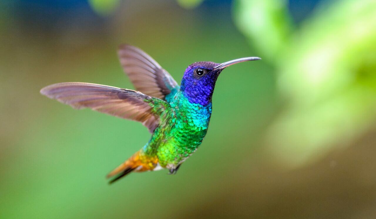 Sleep Affirmations: Connection With Self & Others