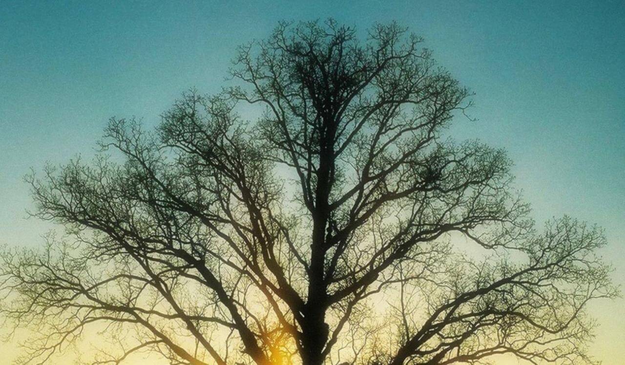 A Psalm Of Deep Rest