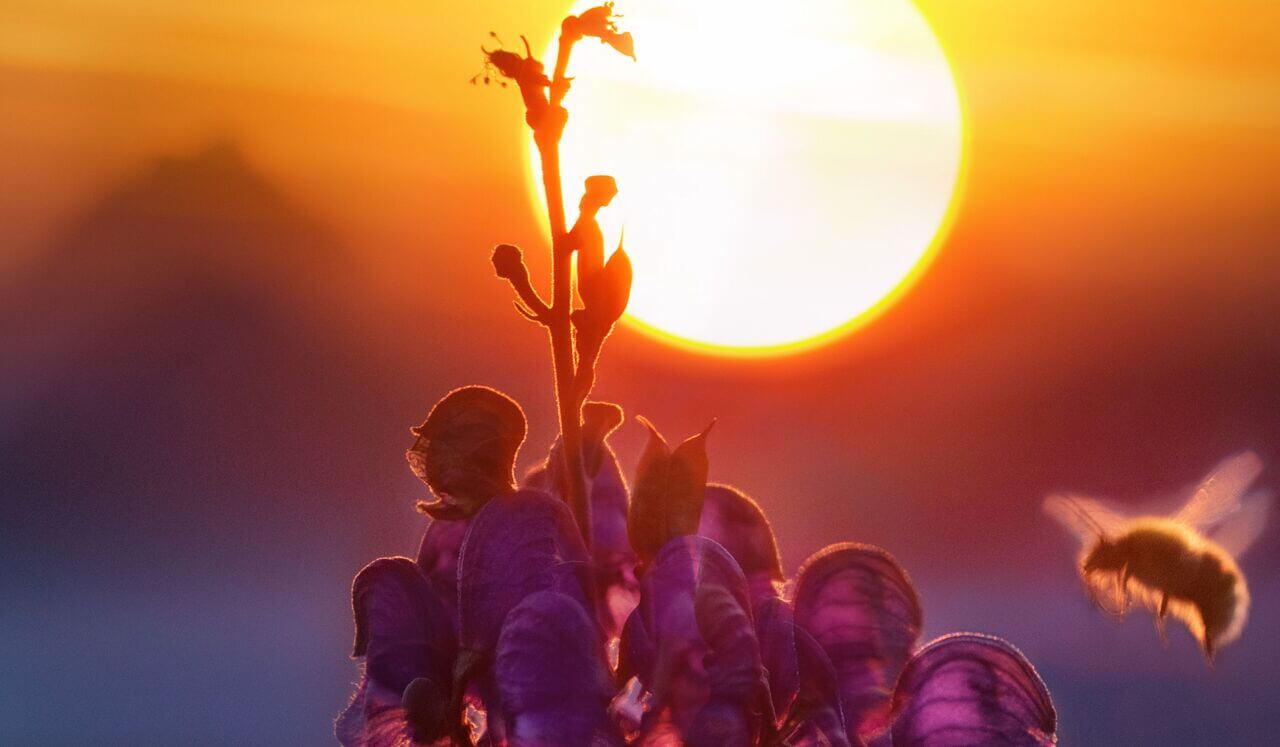 2-Min.-Meditation: Dein goldener Start in den Tag