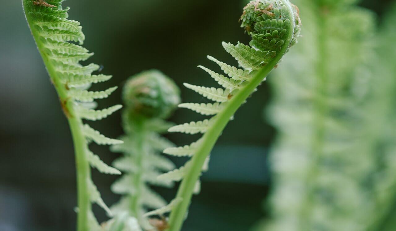 Let's Start Here - Foundations For New Meditators