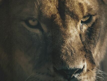 Recipes For Fresh Thinking: Dealing With Anger - by Tom Evans