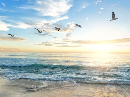 A Peaceful Morning Practice - by Helen Hansen