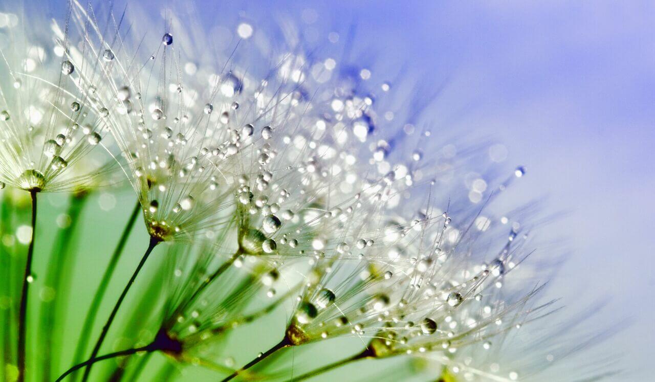 Foundations: Softening