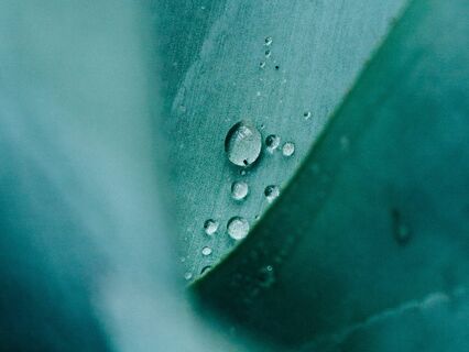 Throat Singing: A Private, Personal Way to Distance Powerful Emotions - by Peter Brooks