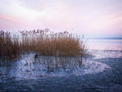 Find Stillness Amidst Movement With Healing Harp (963 Hz)