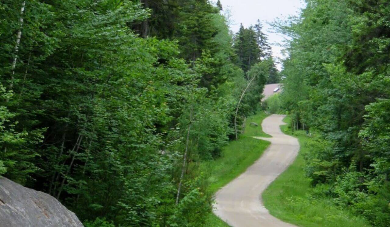 Accessing Your Intuition For Next Steps