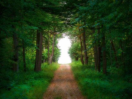 Antidotes to Procrastination: Science Backed Mindset Shift And Plan For Success - by Juna Bobby MD, EdM